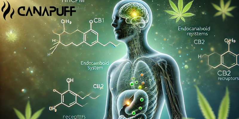 HHCpM: What Is It, Effects, and Legal Status Worldwide